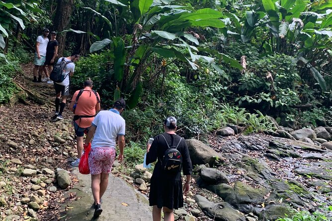 El Yunque National Forest and Luquillo Beach Combo - Why this El Yunque and Luquillo combination works