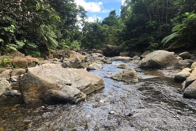 El Yunque National Forest and Luquillo Beach Combo - Swimming in the Mameyes River