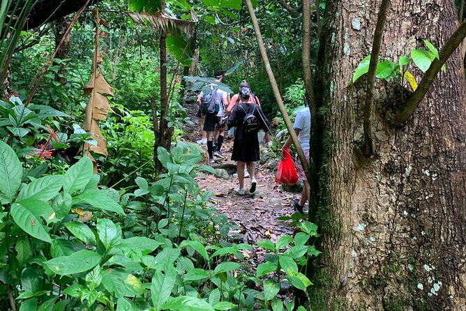 El Yunque National Forest and Luquillo Beach Combo - Starting at Yokahú Tower
