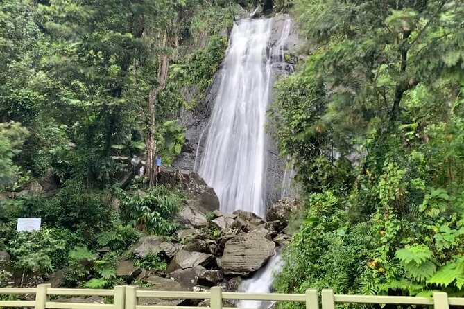 El Yunque National Forest and Luquillo Beach Tour - La Coca Falls: A Quick but Photogenic Stop