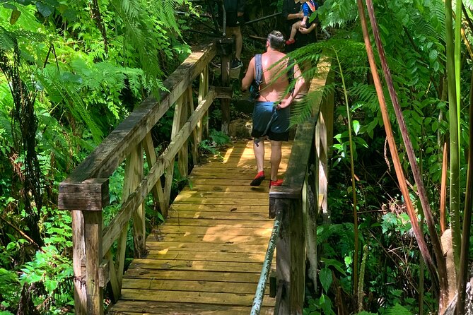 El Yunque National Forest and Luquillo Beach Tour - Two Hours at Luquillo Beach and the Kiosks