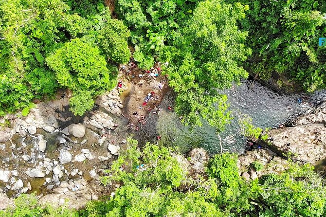 El Yunque National Forest and Luquillo Beach Tour - How Much Walking Should You Expect?