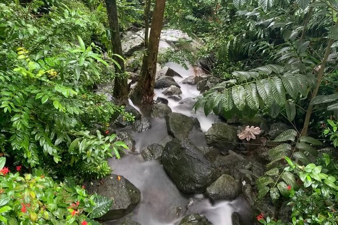 El Yunque National Forest and Luquillo Kiosks Combo - The Mameyes River is the tour’s active center