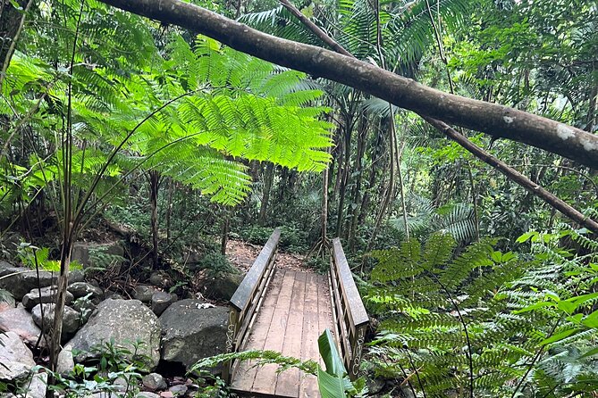 El Yunque National Forest Guided Tour with Transport - Key Points Before You Book