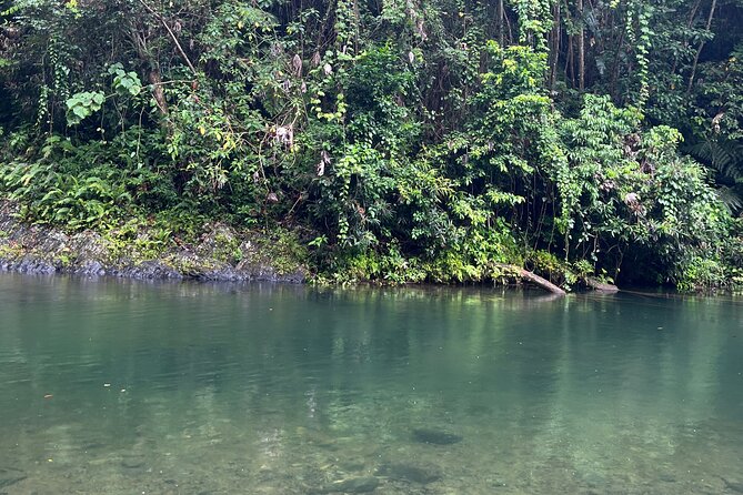 El Yunque National Forest Guided Tour with Transport - A Local Lunch Stop Before San Juan