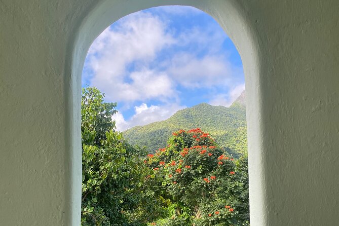 El Yunque National Forest Guided Tour with Transport - What Makes the Guides Worth the Price