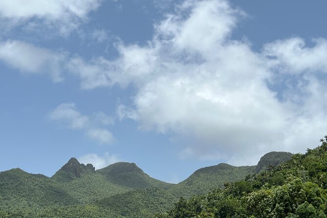 El Yunque National Forest Guided Tour with Transport - Is $80 a Good Value?