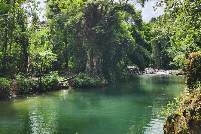 El Yunque National Rainforest and Luquillo Beach Tour - The Mameyes River is the tour’s active highlight