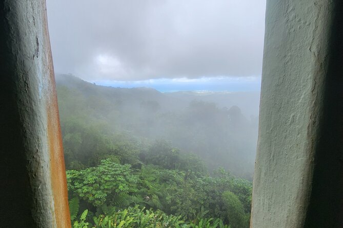 El Yunque National Rainforest and Luquillo Beach Tour - What the $79 price really covers