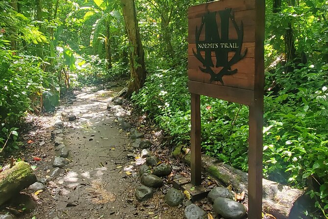 El Yunque National Rainforest and Luquillo Beach Tour - Timing, pickup, and practical comfort