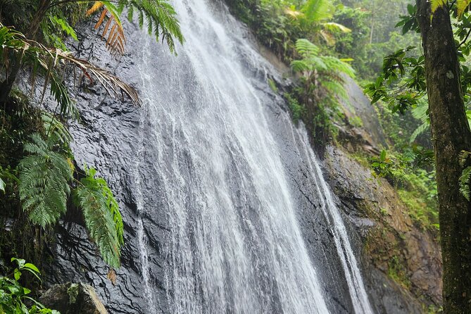 El Yunque National Rainforest and Luquillo Beach Tour - Reaching El Yunque’s high forest roads