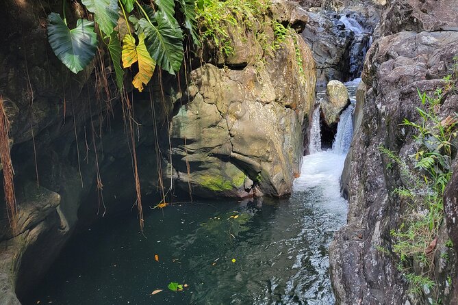 El Yunque Rainforest and Luquillo Kiosk Day Trip - El Yunque on a muddy, active trail