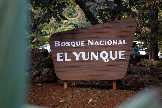 El Yunque Rainforest EZ-going Bus Tour (wheelchair accessible) - Key points to know before booking