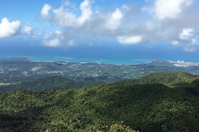 El Yunque Rainforest EZ-going Bus Tour (wheelchair accessible) - Fajardo Overlook brings the Atlantic into view