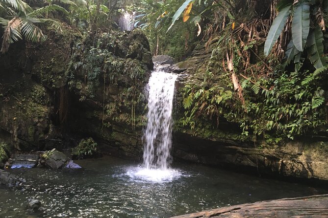El Yunque Rainforest EZ-going Bus Tour (wheelchair accessible) - Yokahu Tower adds the day’s big forest view