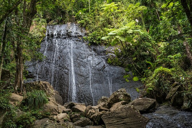 El Yunque Rainforest EZ-going Bus Tour (wheelchair accessible) - Luquillo brings food and local flavor