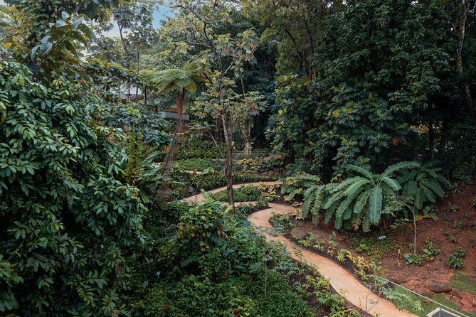 El Yunque Rainforest EZ-going Bus Tour (wheelchair accessible) - El Portal Visitor Center gives the forest context