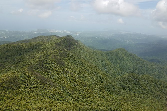 El Yunque Rainforest Full Day Private Tour - La Coca Falls: a short stop with an easy photo payoff