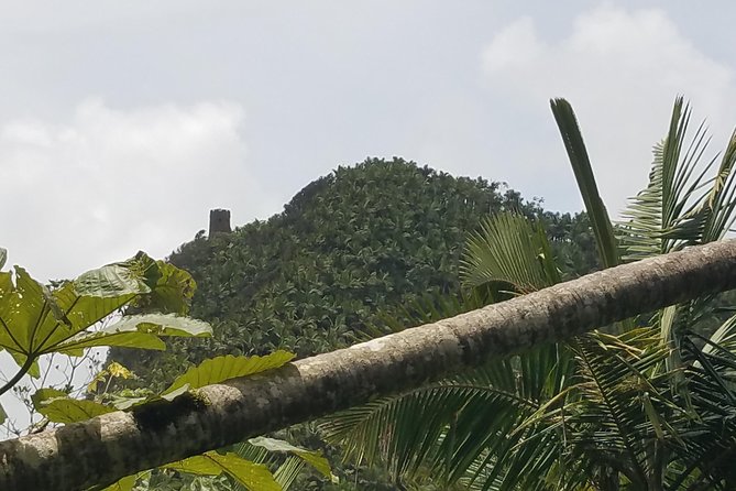 El Yunque Rainforest Full Day Private Tour - What the guide adds beyond directions