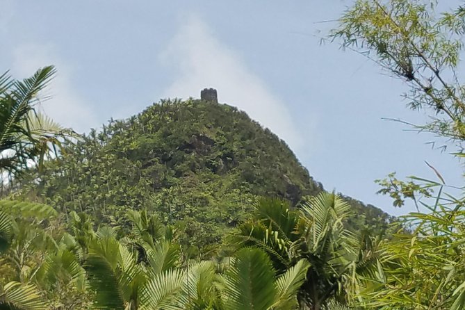 El Yunque Rainforest Full Day Private Tour - Is $333 per person a fair price?