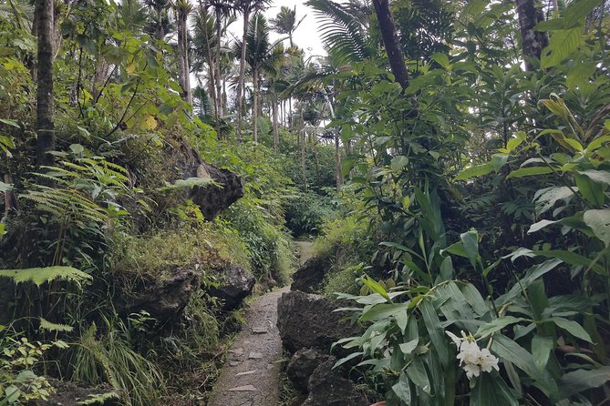 El Yunque Rainforest Full Day Private Tour - Who should book this experience?