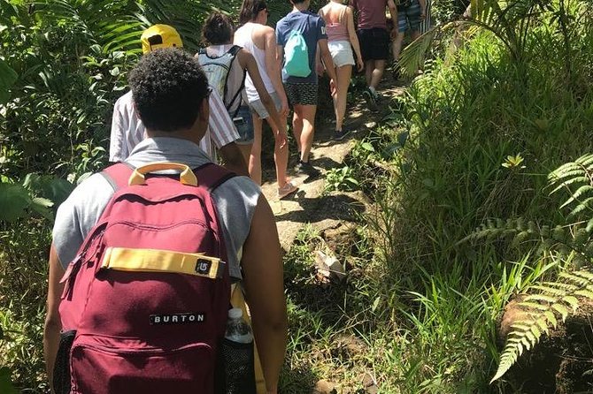 El Yunque Rainforest Guided Day Tour from San Juan - Yokahú Tower delivers the clearest view