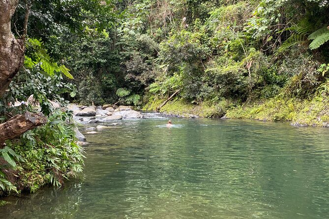 El Yunque Rainforest Guided Day Tour from San Juan - What $85 really buys you