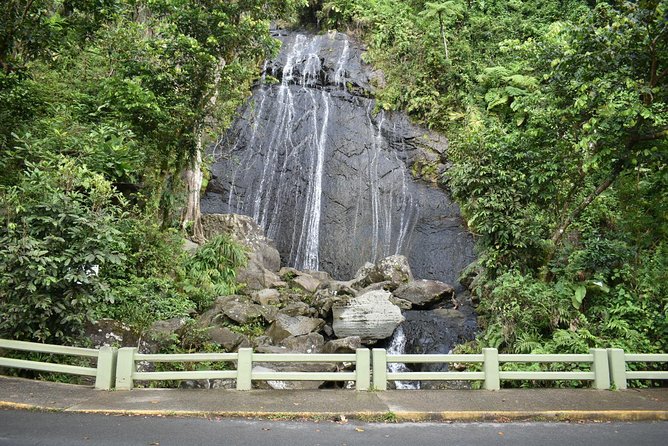 El Yunque Rainforest Guided Day Tour from San Juan - How active is the tour?
