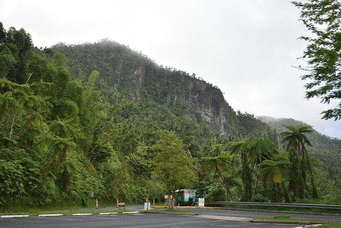 El Yunque Rainforest Guided Day Tour from San Juan - The drive from San Juan sets the tone