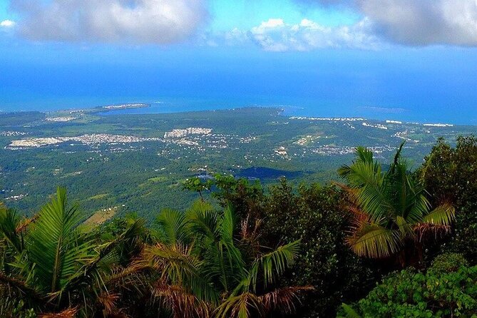 El Yunque Rainforest Guided Tour - Key Points Before You Book