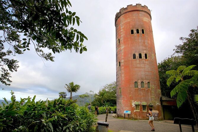 El Yunque Rainforest Guided Tour - Yokahu Tower and a Waterfall Stop