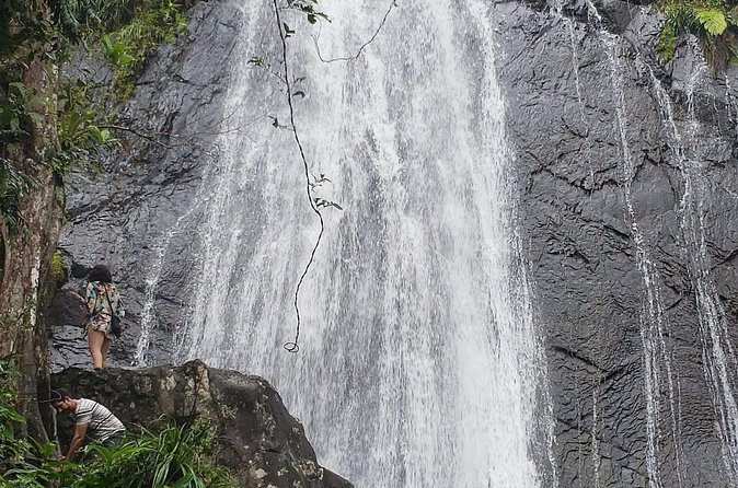 El Yunque Rainforest Guided Tour - Why the Local Lunch Stop Matters