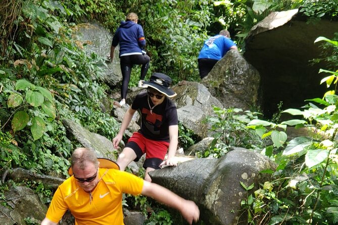 El Yunque Rainforest Guided Tour - A Beginner-Friendly Walk Through the Rainforest
