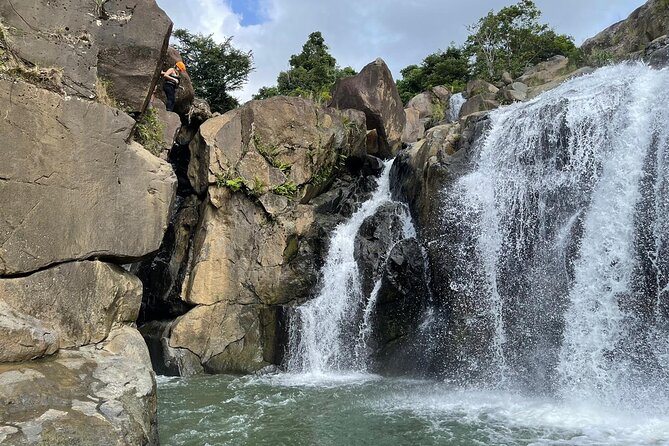 El Yunque Rainforest Hike and Luquillo Beach Tour - What the moderate fitness note really means