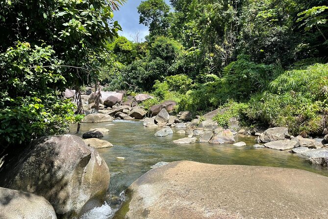 El Yunque Rainforest Hike and Luquillo Beach Tour - Is $189 a good value?