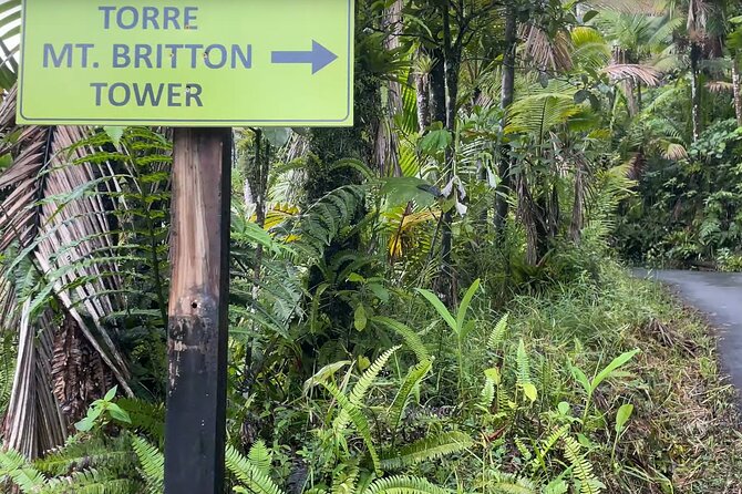 El Yunque Rainforest Hike with Transport from San Juan - What this El Yunque outing is really designed to do