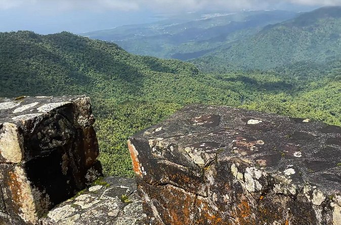 El Yunque Rainforest Hike with Transport from San Juan - Mt. Britton Lookout Tower and the climb