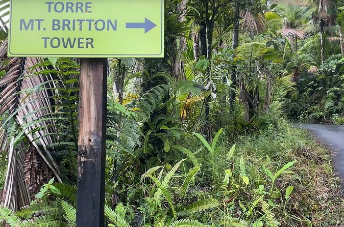 El Yunque Rainforest Hike with Transport from San Juan - The guides can change the quality of the day