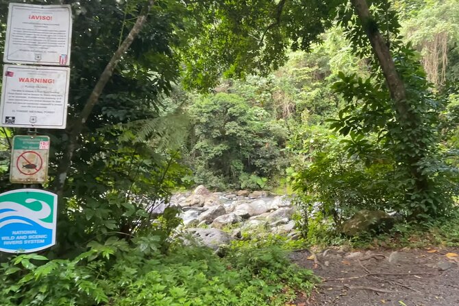 El Yunque Rainforest Hike with Transport from San Juan - Waterfalls, pools, and the question of swimming