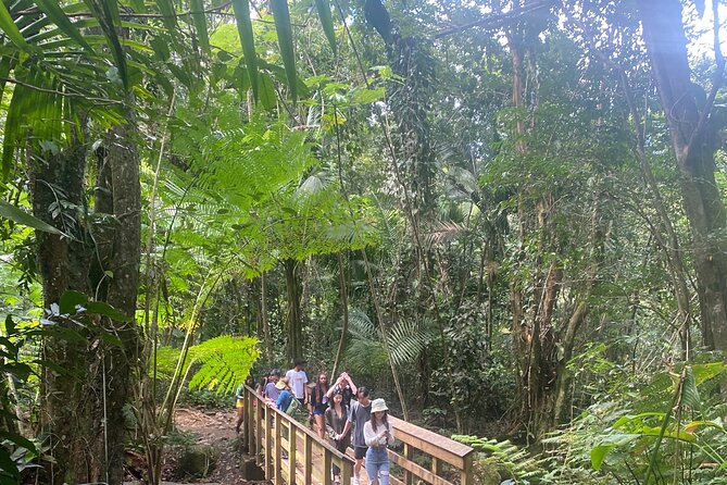 El Yunque Rainforest Hiking Tour from San Juan - Key points to know before you book