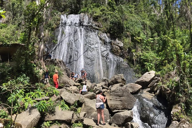 El Yunque Rainforest Hiking Tour from San Juan - Yokahu Tower and the rainforest from above