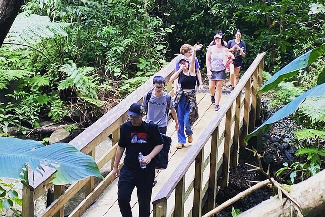 El Yunque Rainforest Hiking Tour from San Juan - La Coca Falls is a scenic, short stop