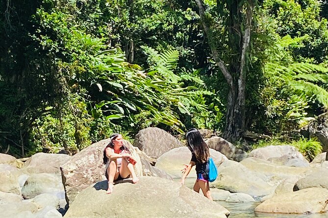 El Yunque Rainforest Hiking Tour from San Juan - The river walk and optional swim