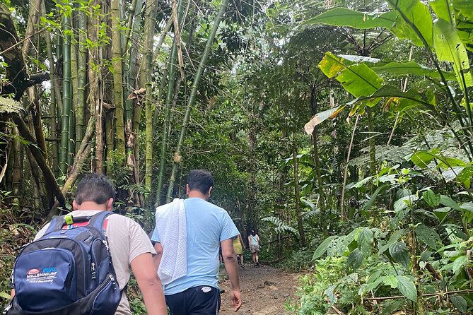 El Yunque Rainforest Hiking Tour from San Juan - What the guides add to the experience