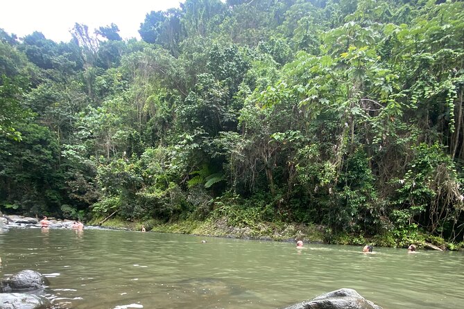 El Yunque Rainforest Hiking Tour from San Juan - What the $79 price includes