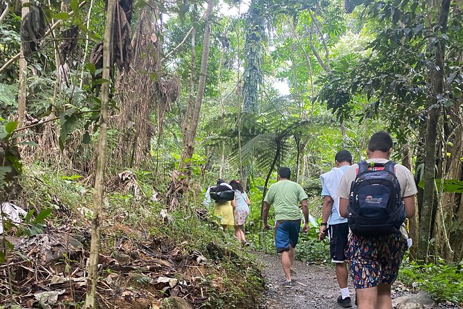 El Yunque Rainforest Hiking Tour from San Juan - Climbing El Yunque to about 2,000 feet