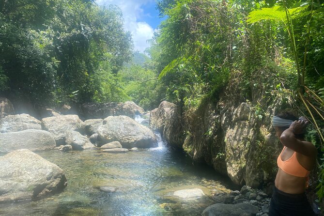 El Yunque Rainforest Morning River and Hike Adventure - A guide-led nature experience, not just a swim stop