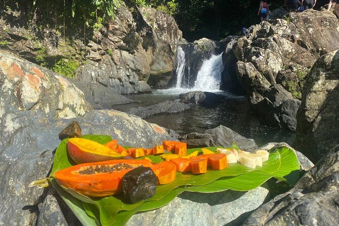 El Yunque Rainforest Morning River and Hike Adventure - Food, fruit, and what the $120 price covers