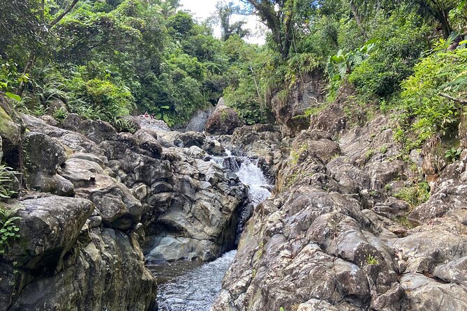 El Yunque Rainforest Morning River and Hike Adventure - The 20 to 30-minute rainforest walk