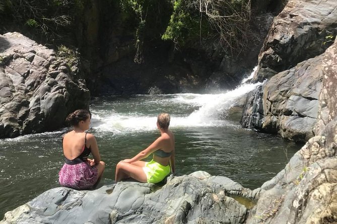 El Yunque Rainforest Tour from Fajardo - What makes this rainforest trip different